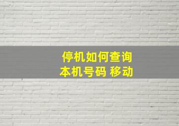 停机如何查询本机号码 移动